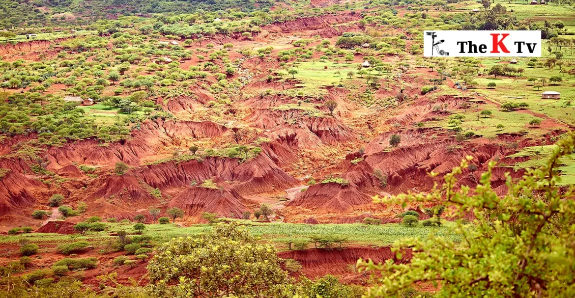 இயற்கை சுரண்டலுக்கு முற்றுப்புள்ளி - கனிமக் கொள்ளையர்களைக் கைது செய்ய உயர் நீதிமன்றம் உத்தரவு