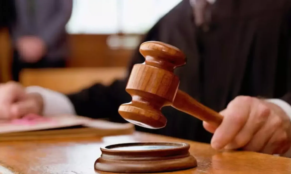 மும்பை ஹை கோர்ட்டு முக்கிய தீர்ப்பு: பாட்டிக்கு குழந்தை வளர்க்க உரிமை இல்லை